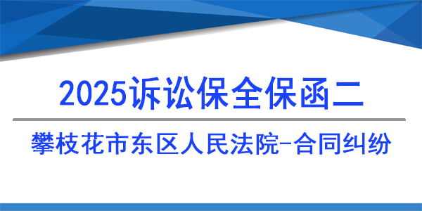 攀枝花市東區(qū)人民法院,訴訟保全,財產(chǎn)保全